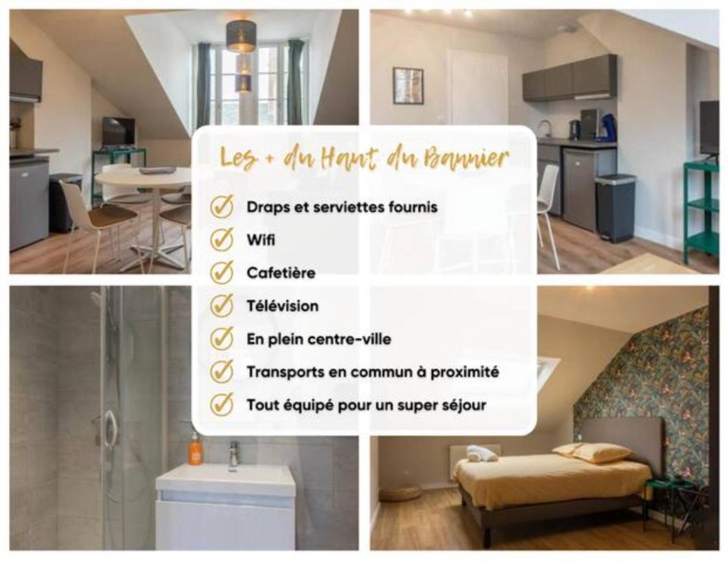 דירות אורליאן Le Haut Du Bannier * T2 * Hyper Centre * Wifi * מראה חיצוני תמונה